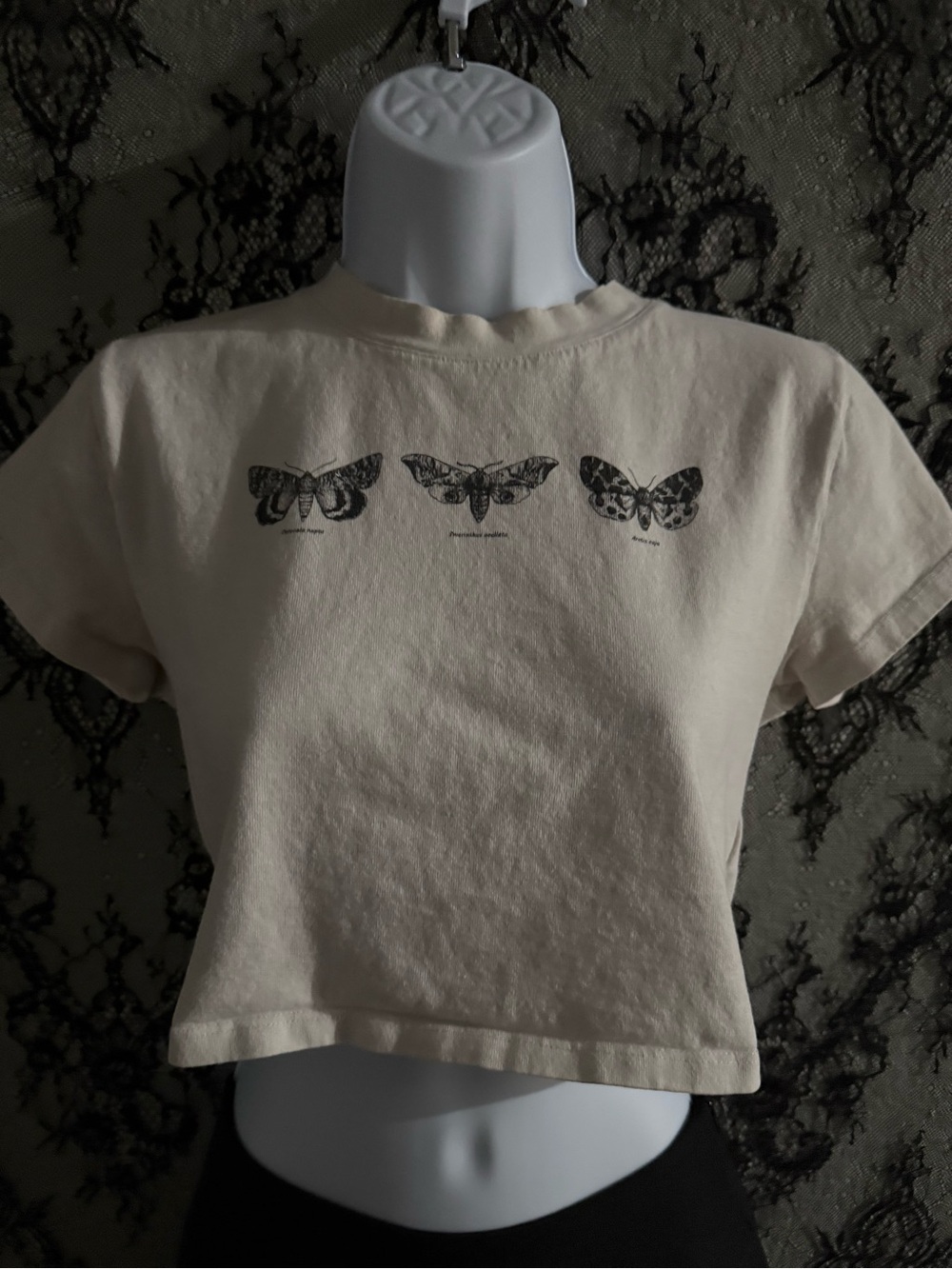 Topshop moth and butterfly graphic crop top